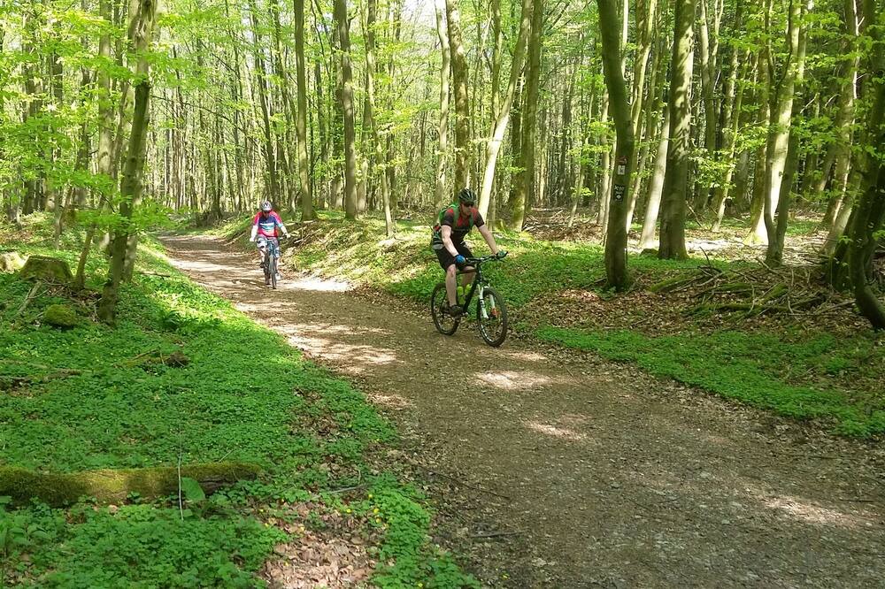 Photo of Outdoor in Holzhausen-Externsteine
