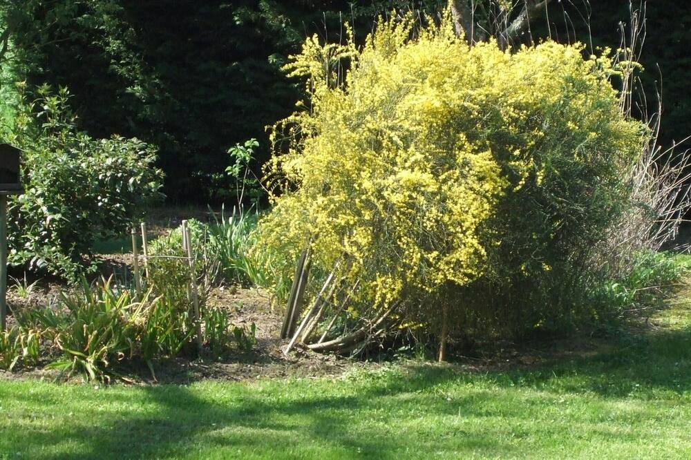 Photo of Outdoor in Chateauvieux