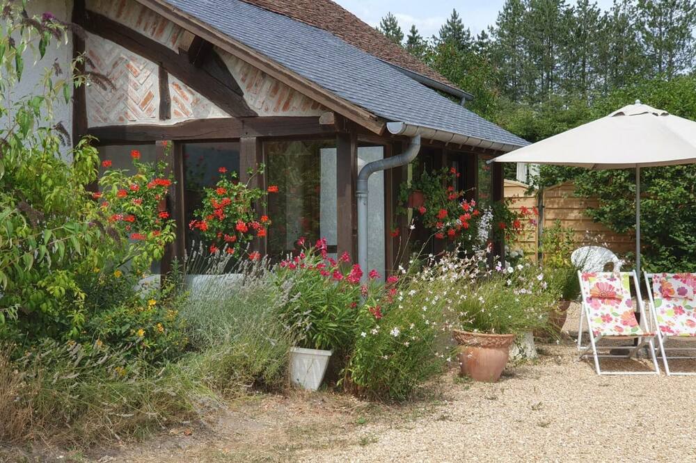 Photo of Outdoor in Contres