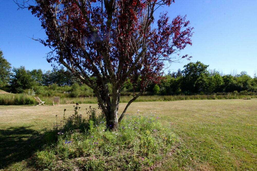 Photo of Outdoor in Contres