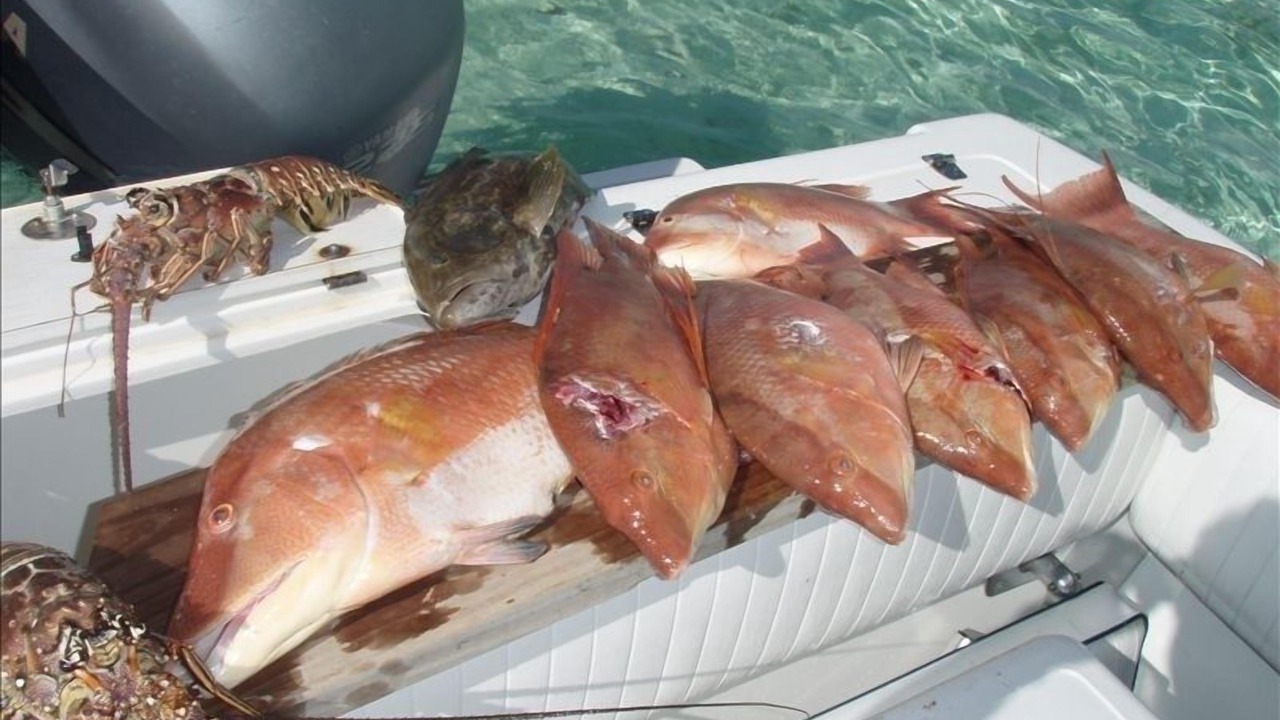 Photo of Others in Great Harbour Cay
