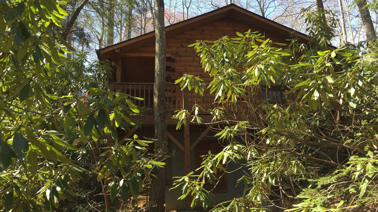 Photo of Buildings in Sherwood Forest