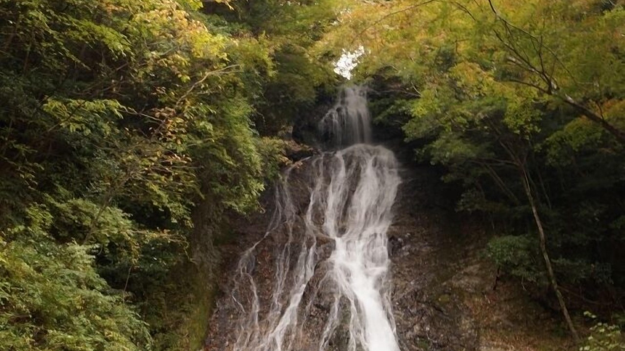 Photo of Others in Takachiho