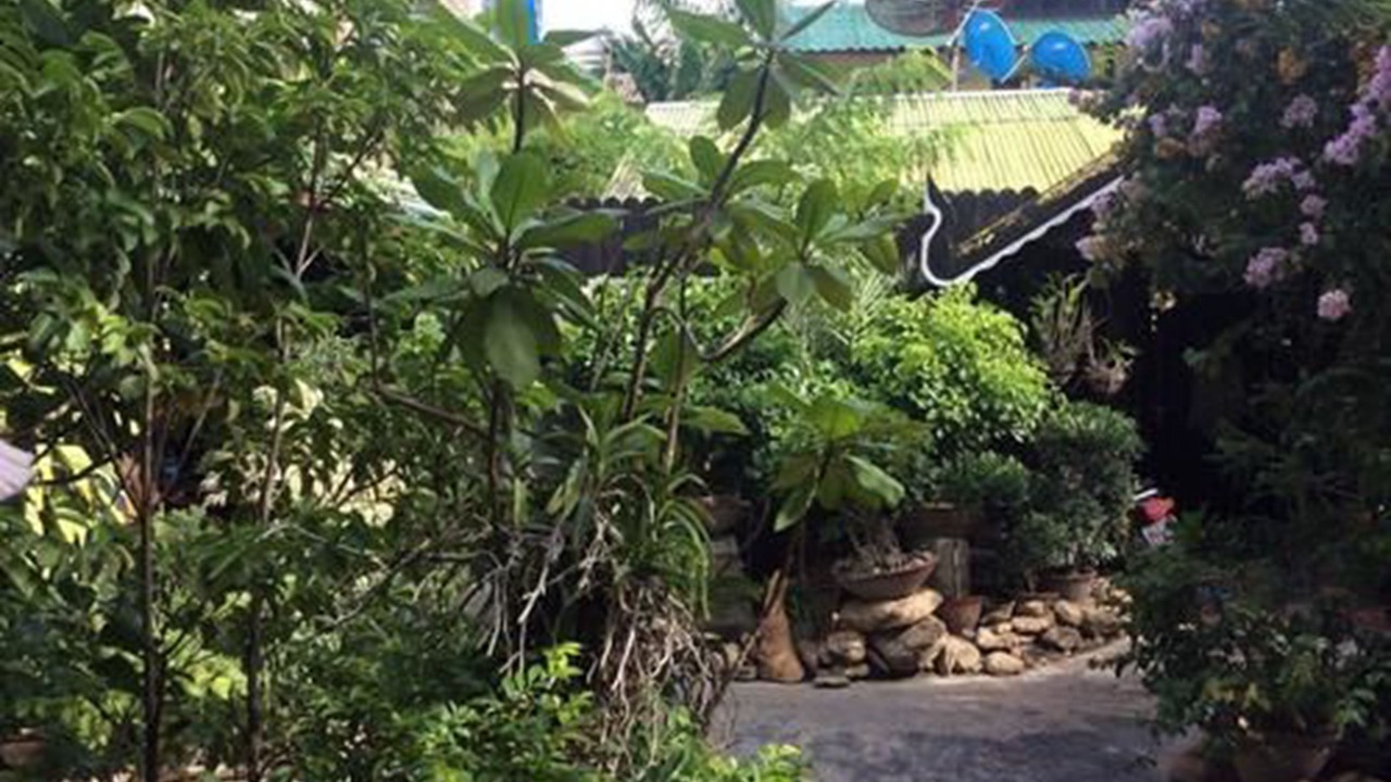 Photo of Outdoor in Yawnghwe