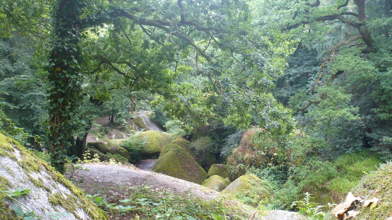 Photo of Outdoor in Loperec