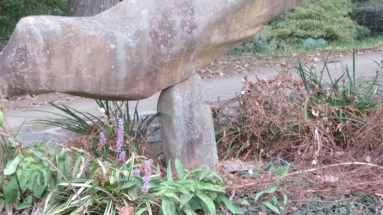 Photo of Outdoor in Bergton