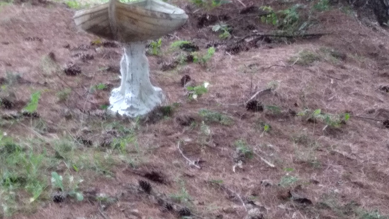 Photo of Outdoor in Bergton