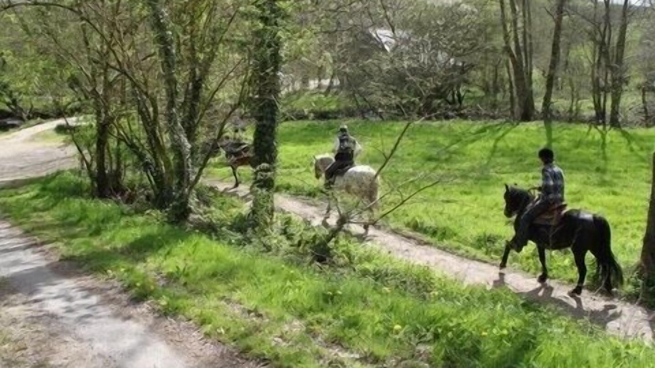 Photo of Outdoor in Plessala