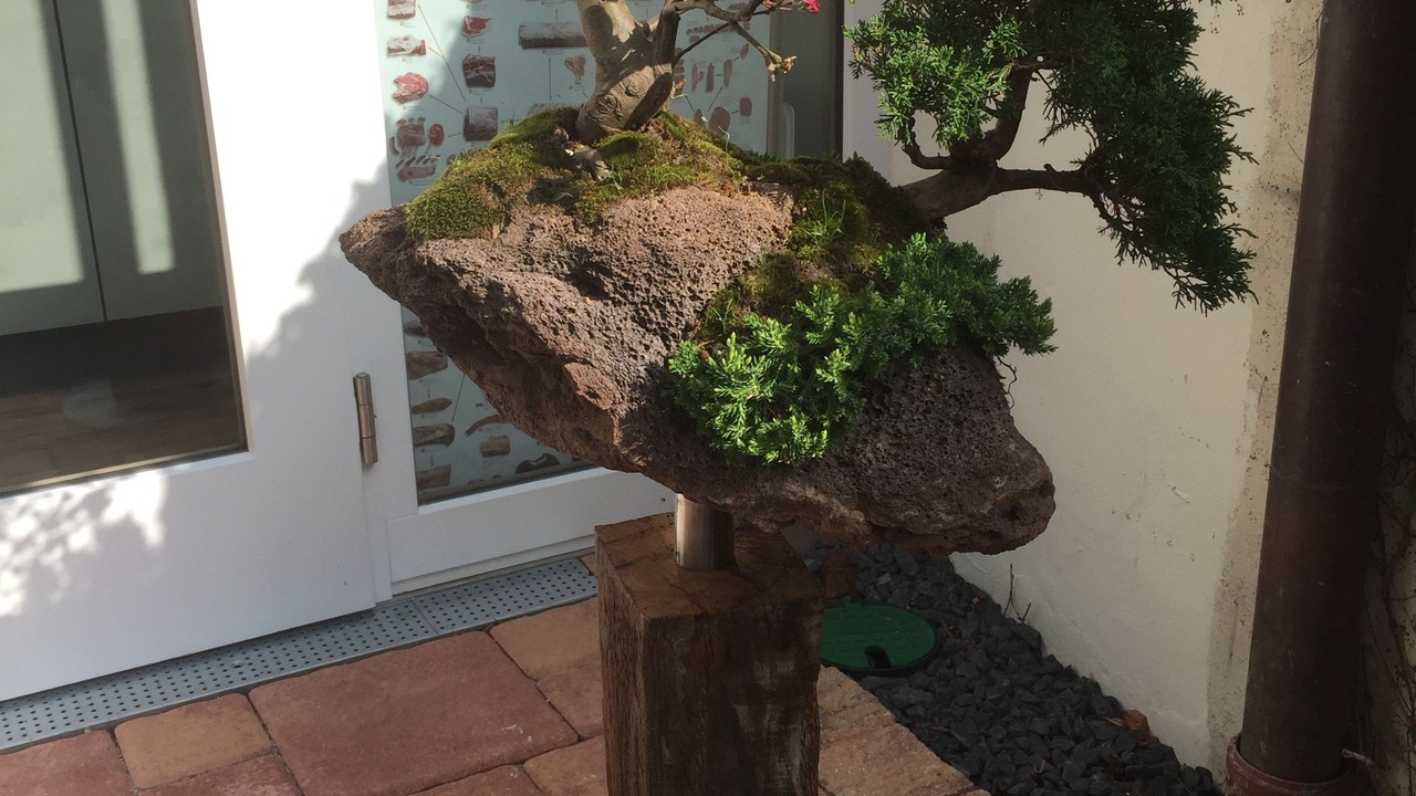 Photo of Others in Weisenheim am Berg