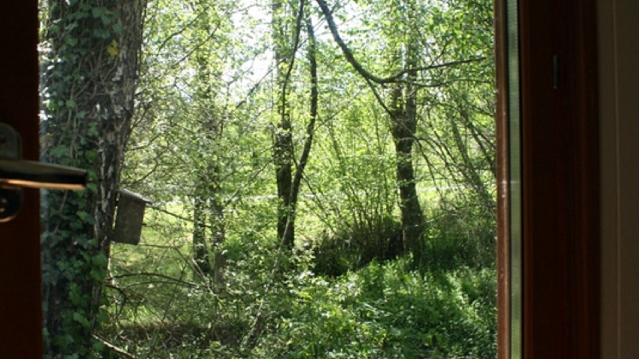 Photo of Others in Balledent