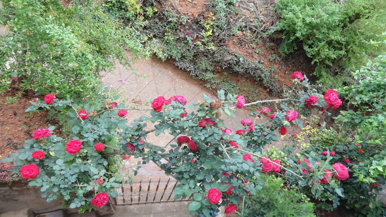 Photo of Outdoor in Tansen