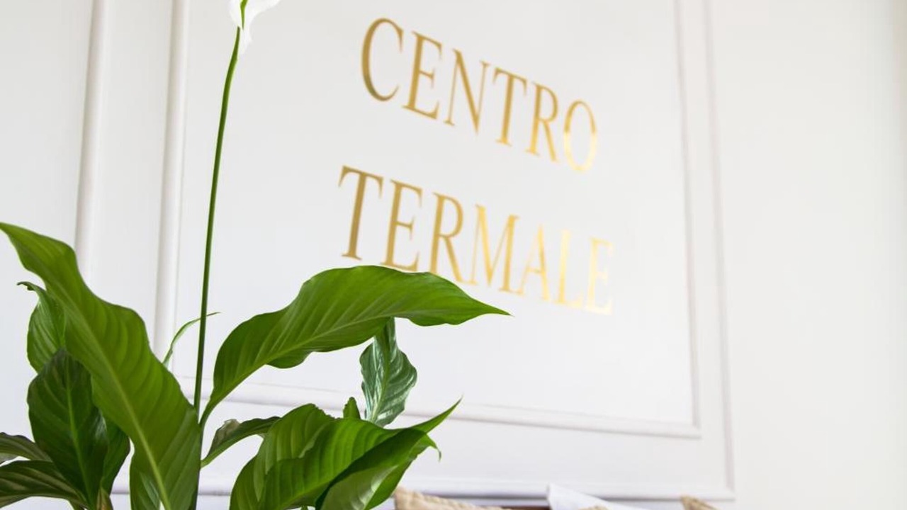 Photo of Others in Abano Terme