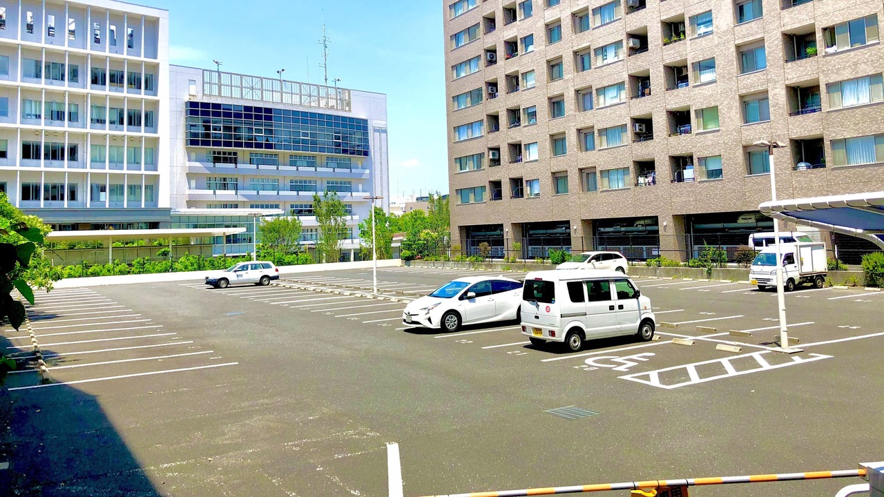 Photo of Others in Chigasaki