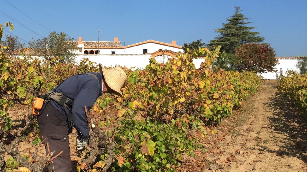 Photo of Outdoor in Sant Llorenc d'Hortons