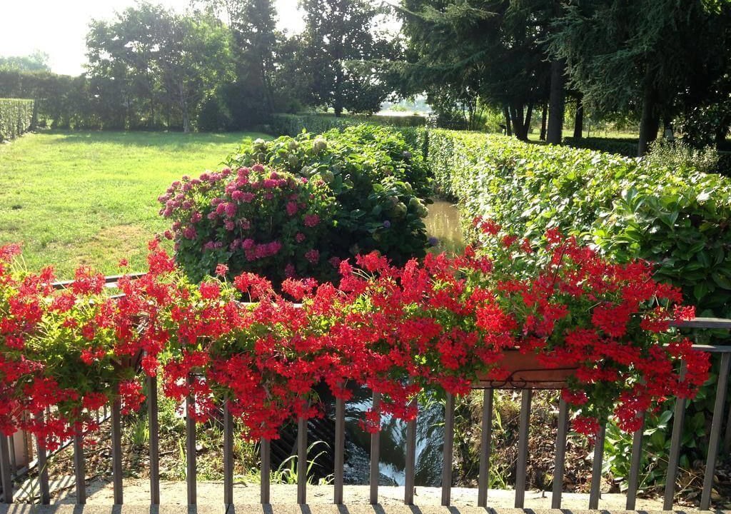 Photo of Outdoor in Melzo