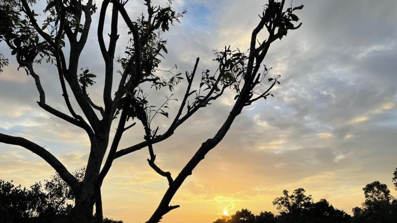 Photo of Outdoor in Sreemangal Upazila