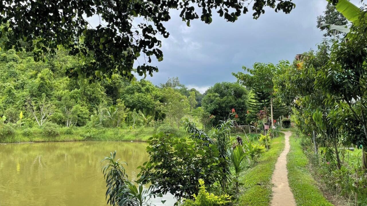 Photo of Outdoor in Sreemangal Upazila