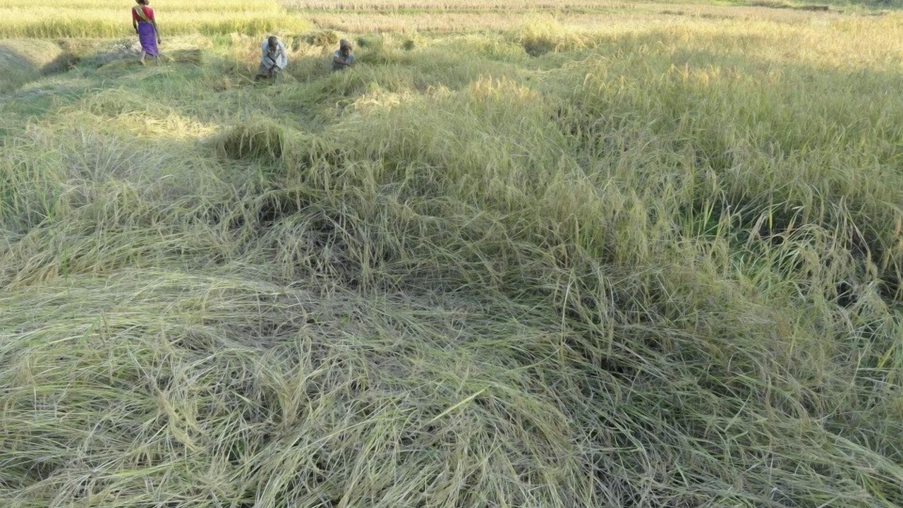 Photo of Outdoor in Sreemangal Upazila