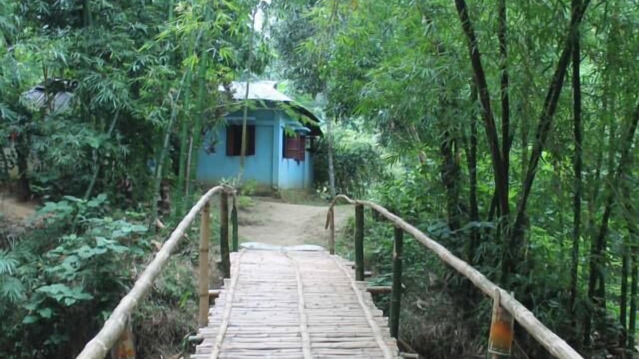 Photo of Outdoor in Sreemangal Upazila
