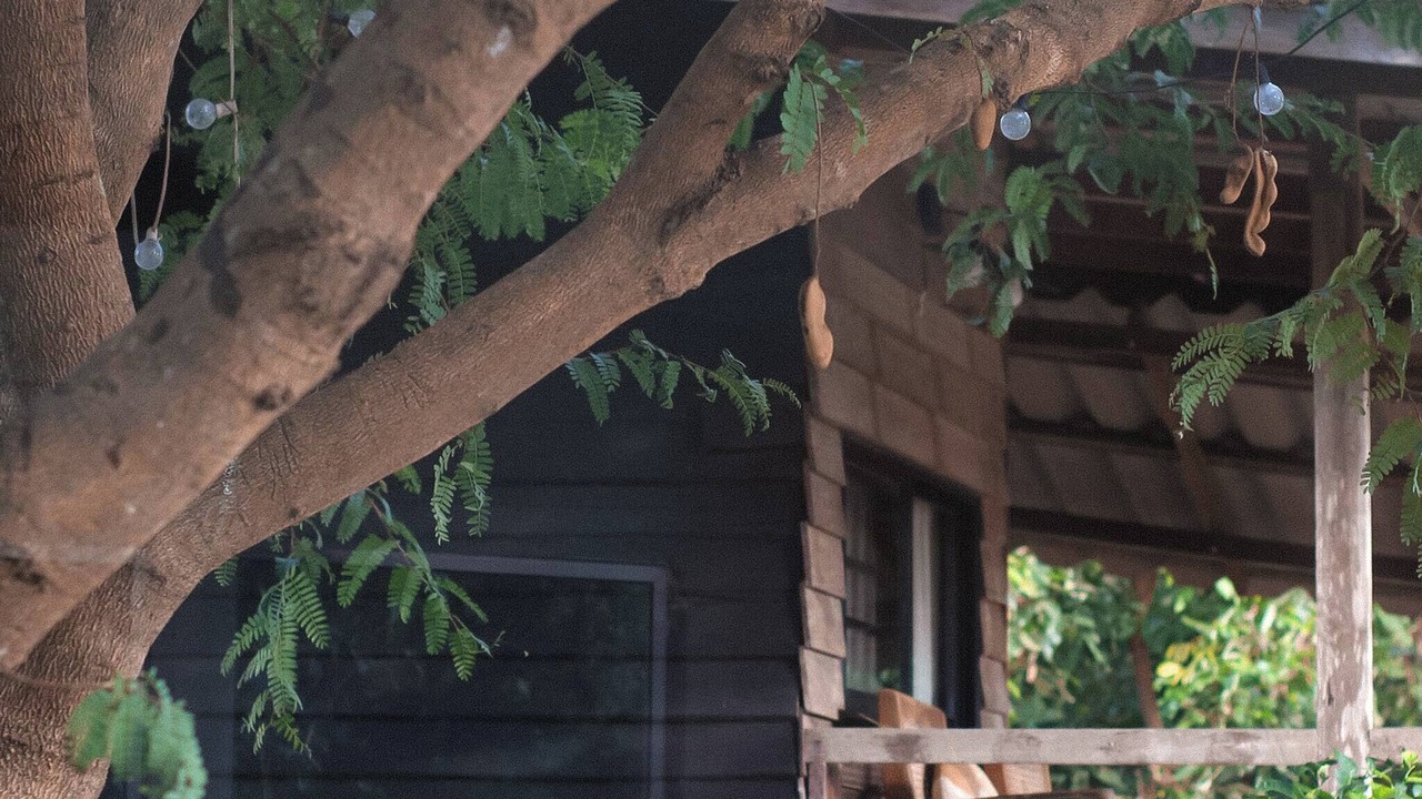 Photo of Patio Balcony in Chiang Dao