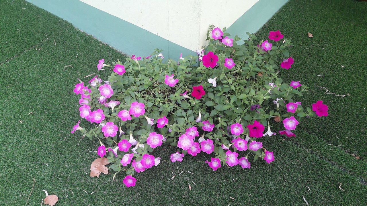 Photo of Others in Ubon Ratchathani
