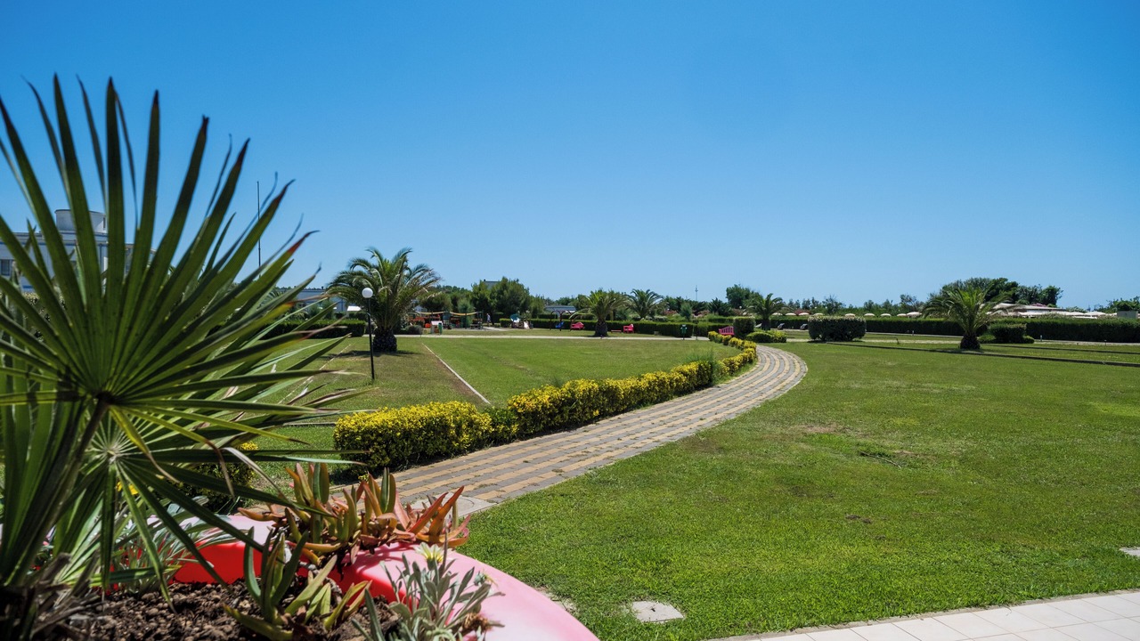 Photo of Outdoor in Calambrone