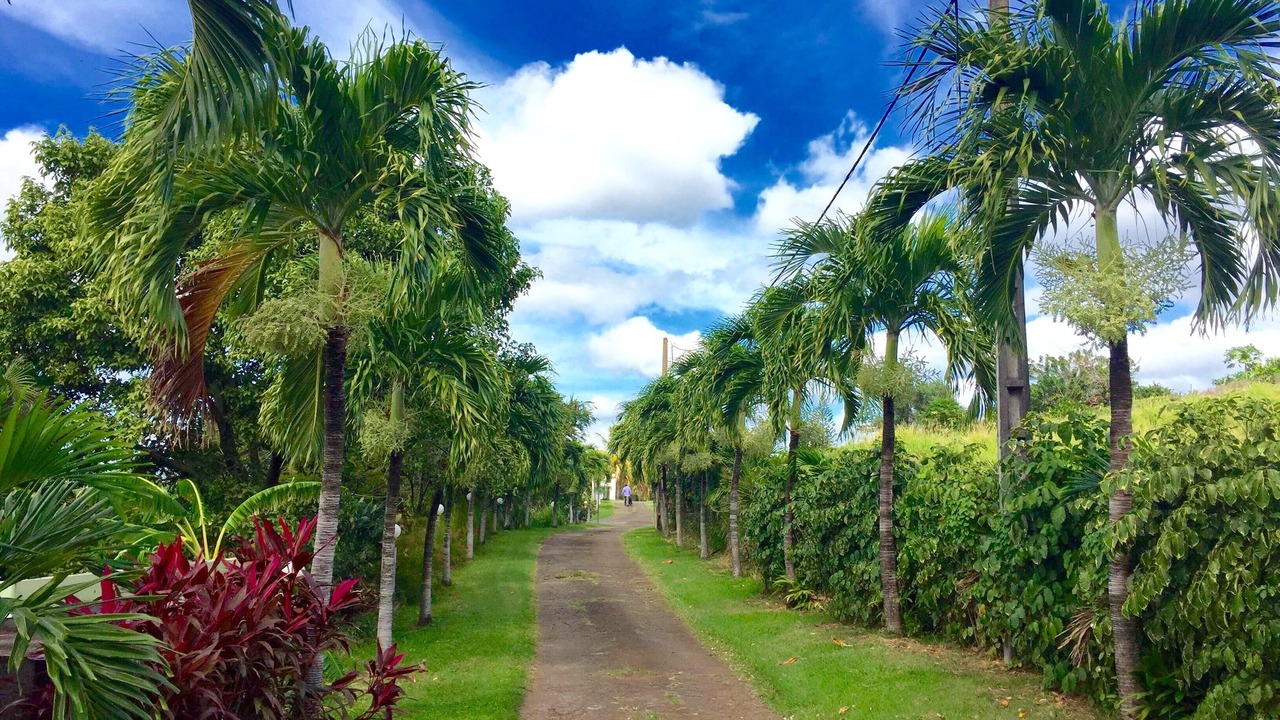 Photo of Outdoor in Baillif