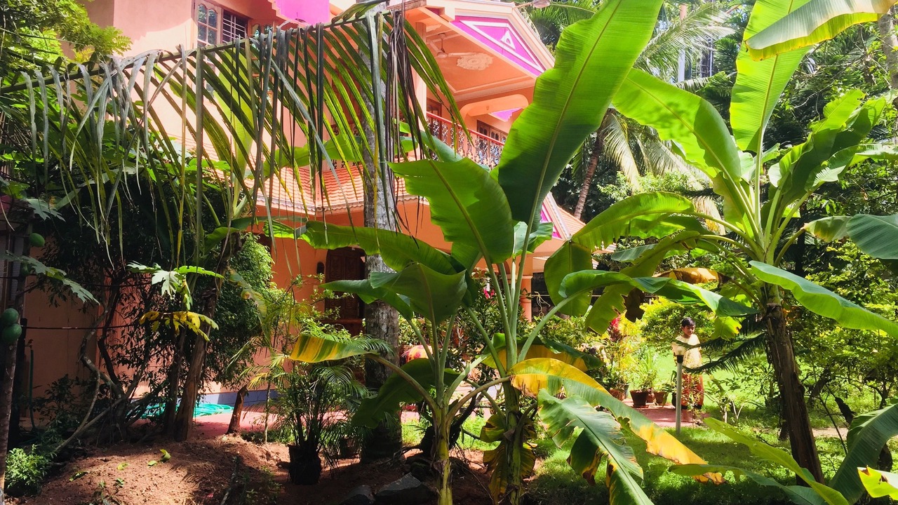 Photo of Outdoor in Kovalam
