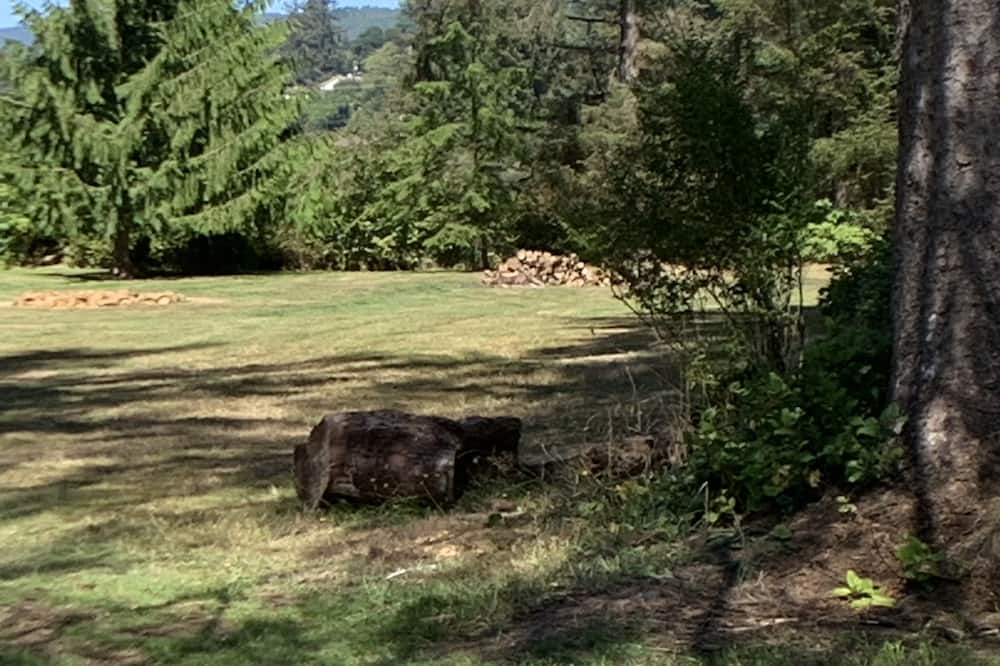 Photo of Outdoor in Bay City