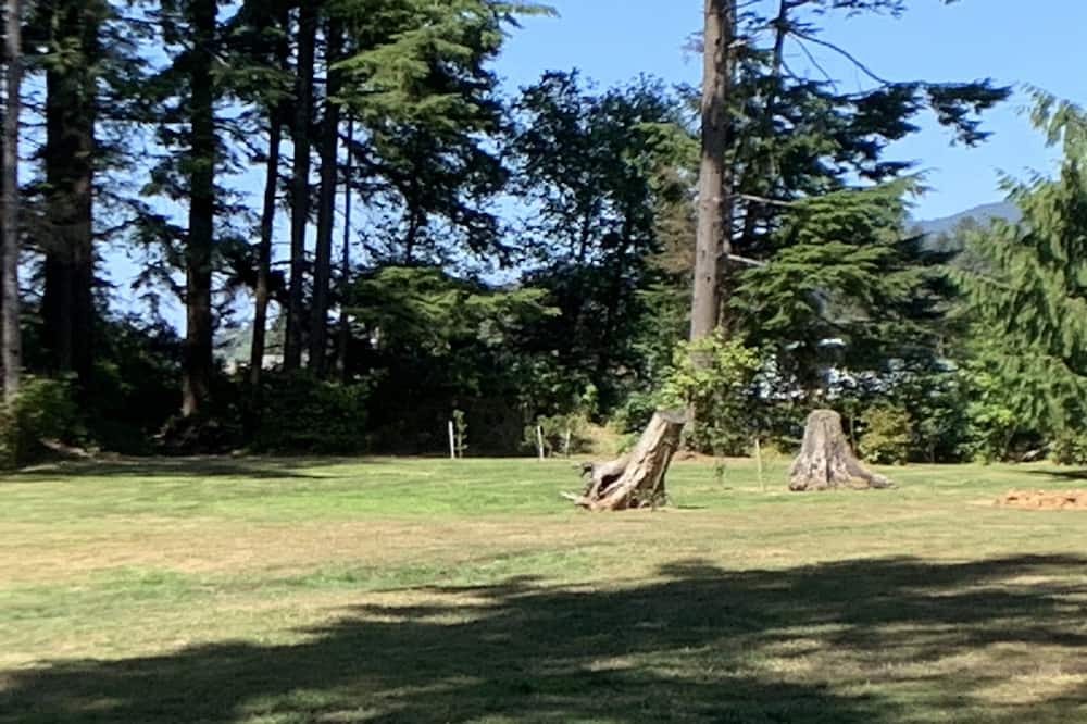 Photo of Outdoor in Bay City