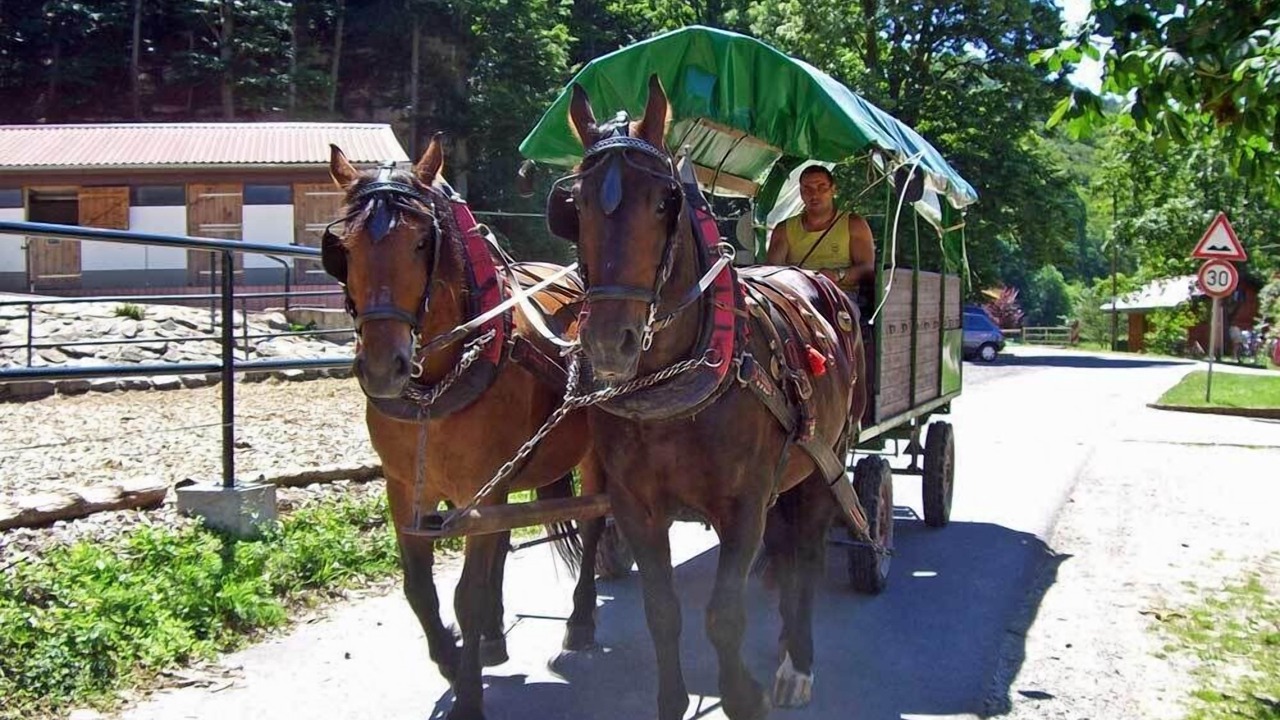Photo of Others in Frankenroda