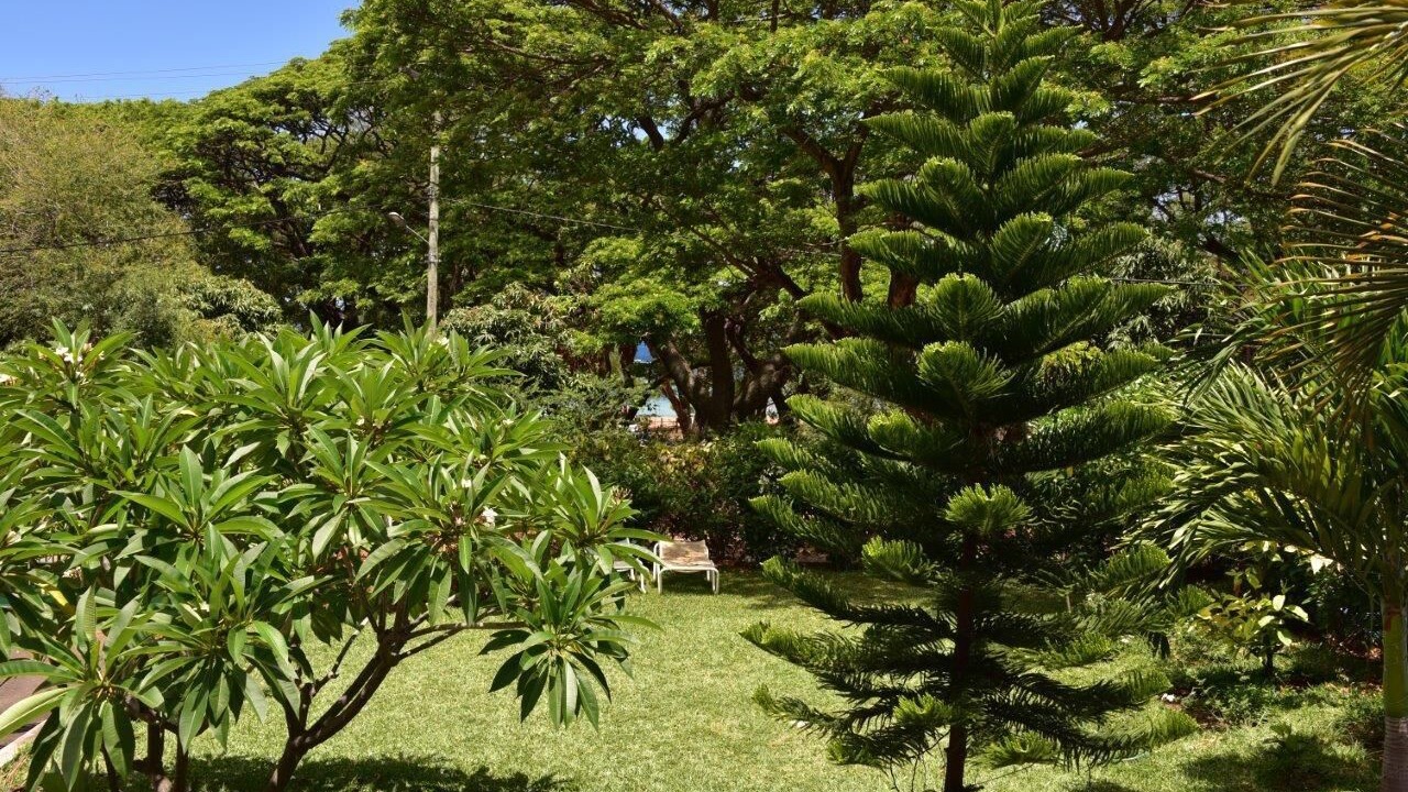 Photo of Outdoor in Flic-en-Flac
