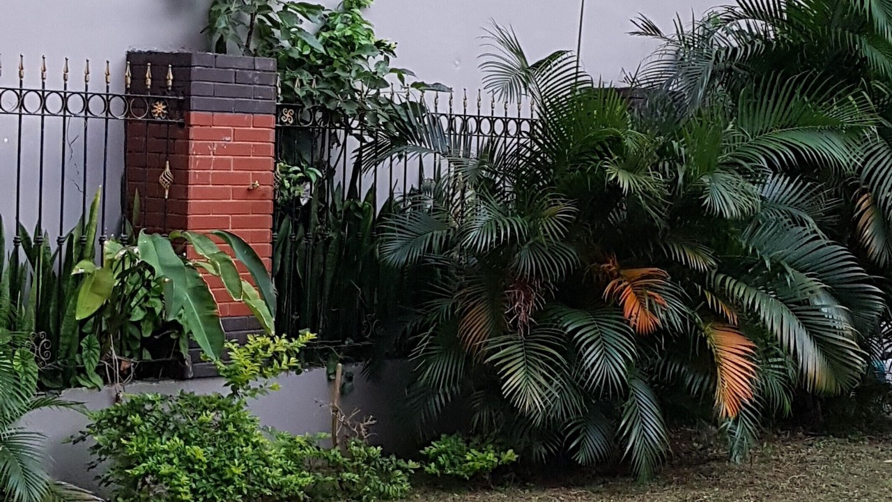 Photo of Outdoor in Quatre Bornes