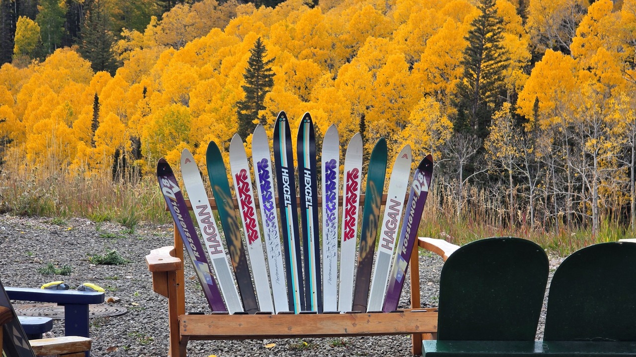 Photo of Outdoor in Beaver