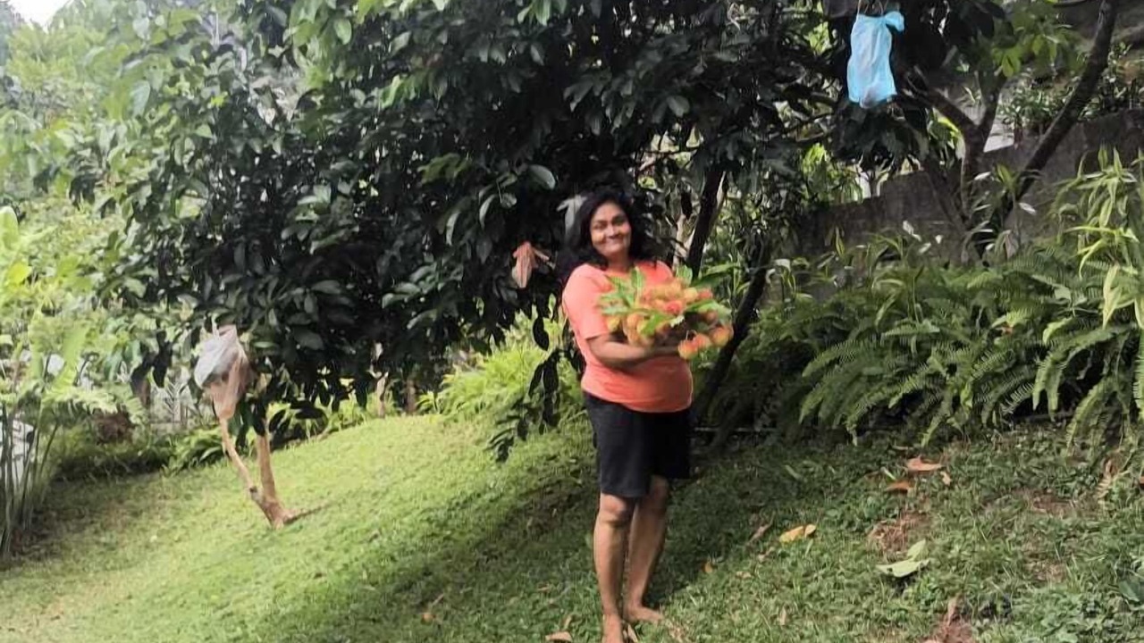 Photo of Outdoor in Gomagoda