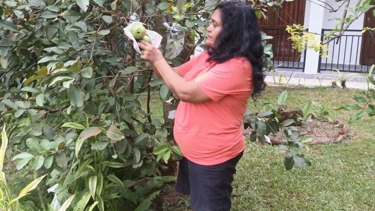 Photo of Outdoor in Gomagoda