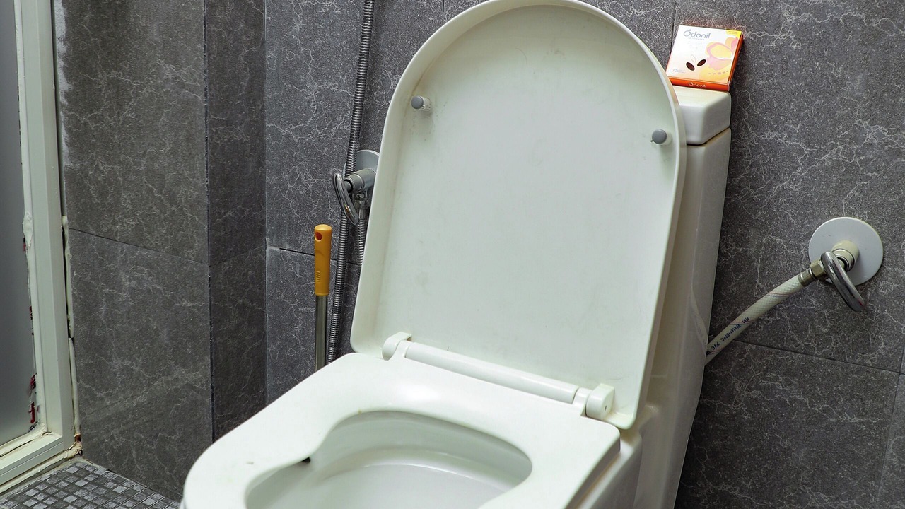Photo of Bathroom in Bungmati