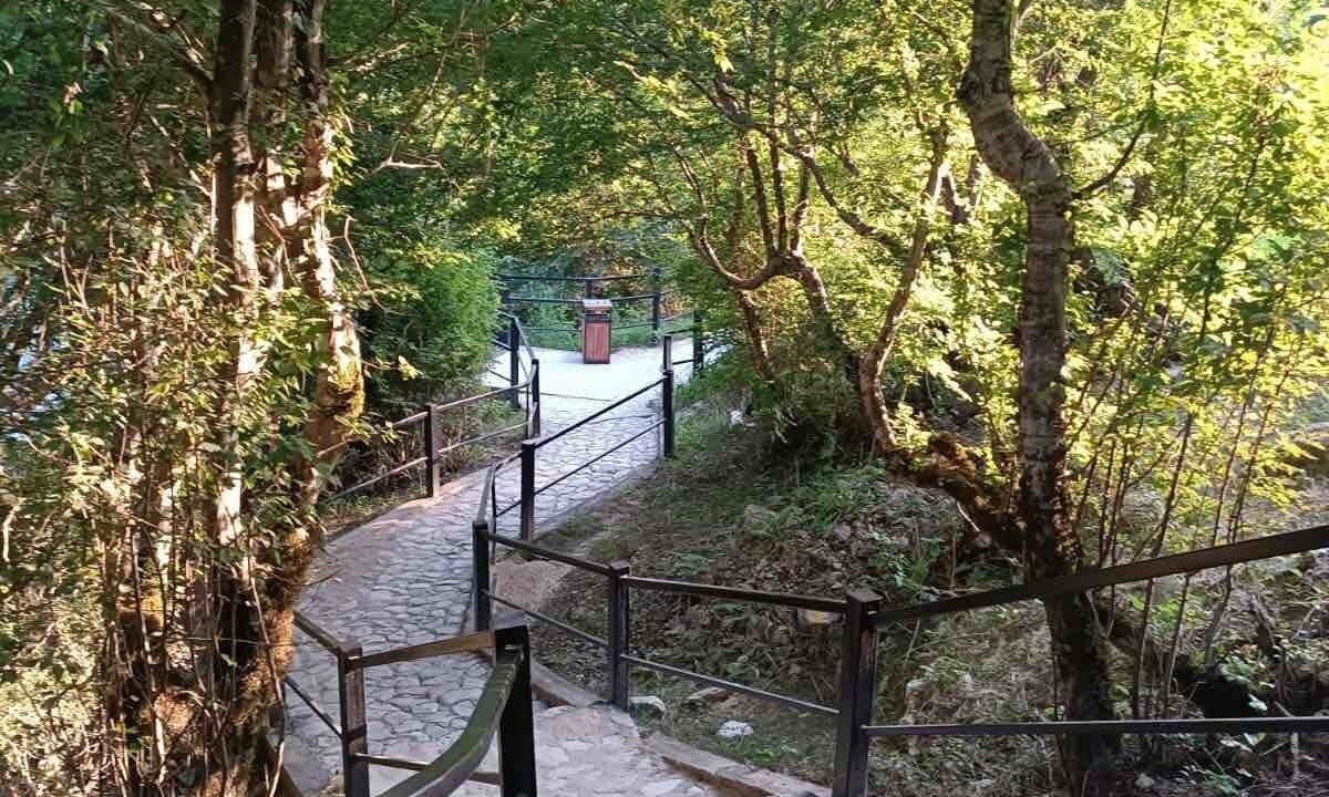 Photo of Outdoor in Martivili