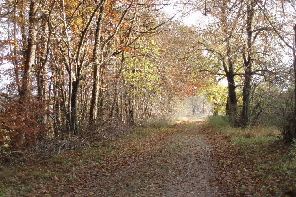 Photo of Others in Klosterwalde