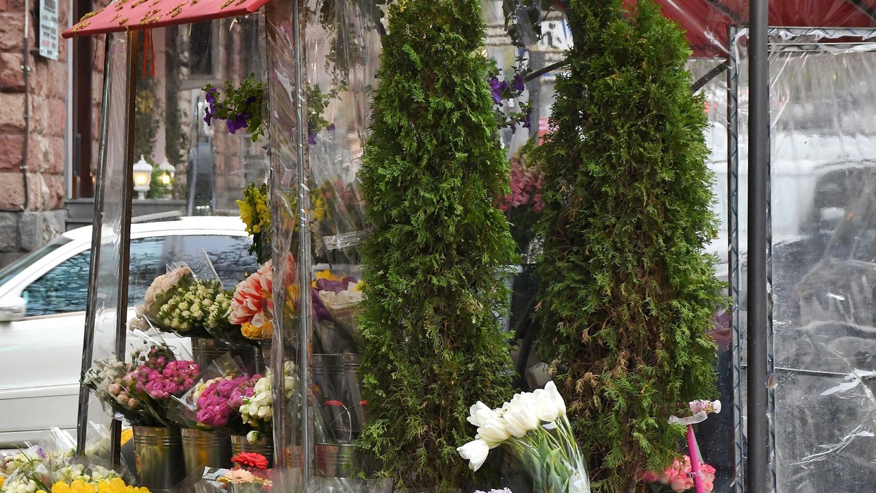 Photo of Outdoor in Nor-Nork