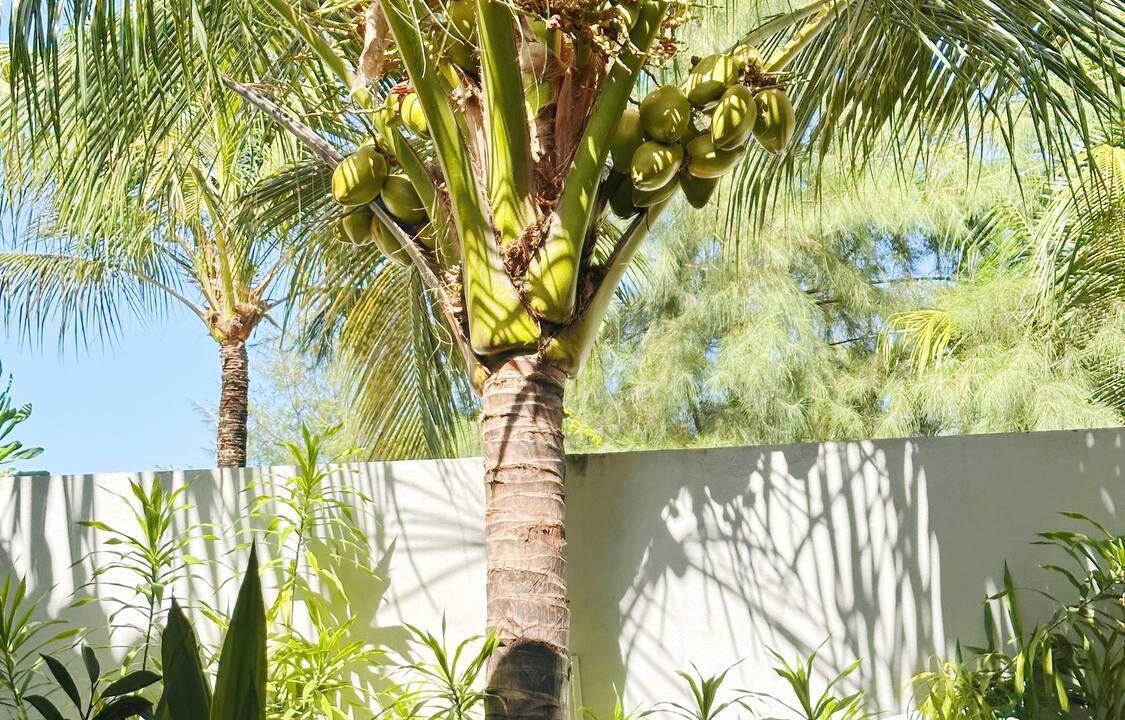 Photo of Bedroom in Omadhoo