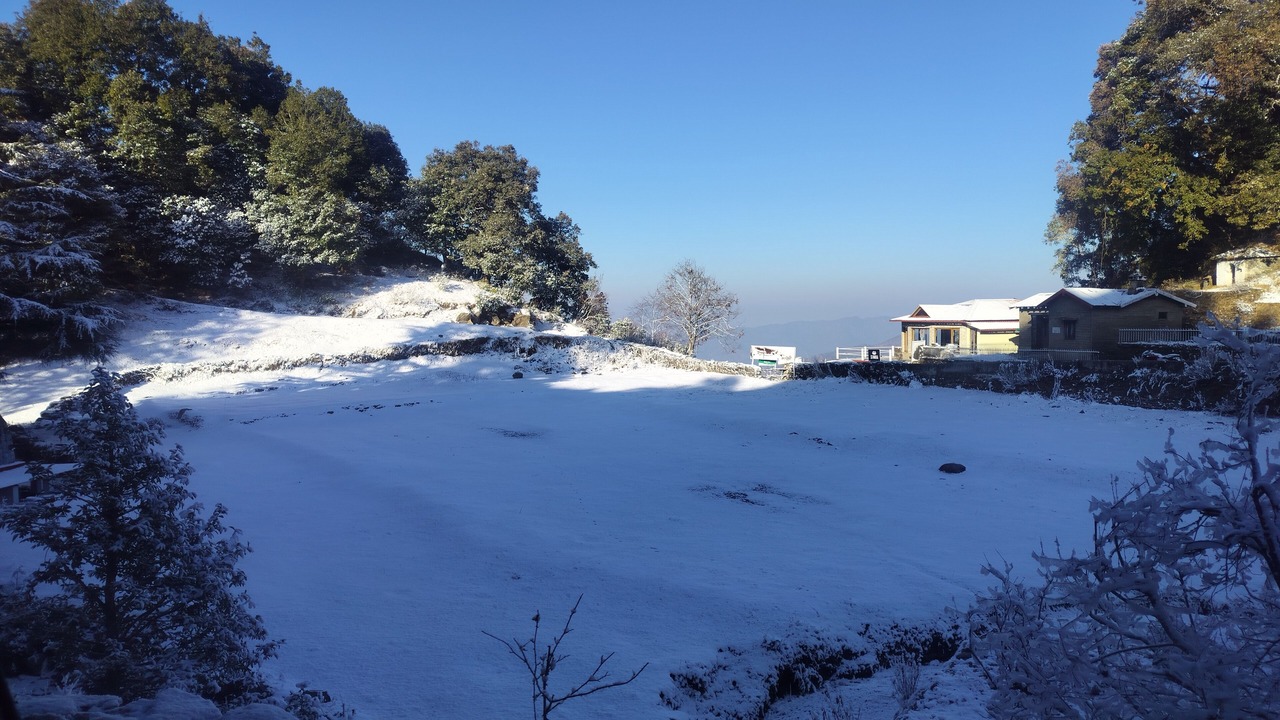 Photo of Others in Binsar
