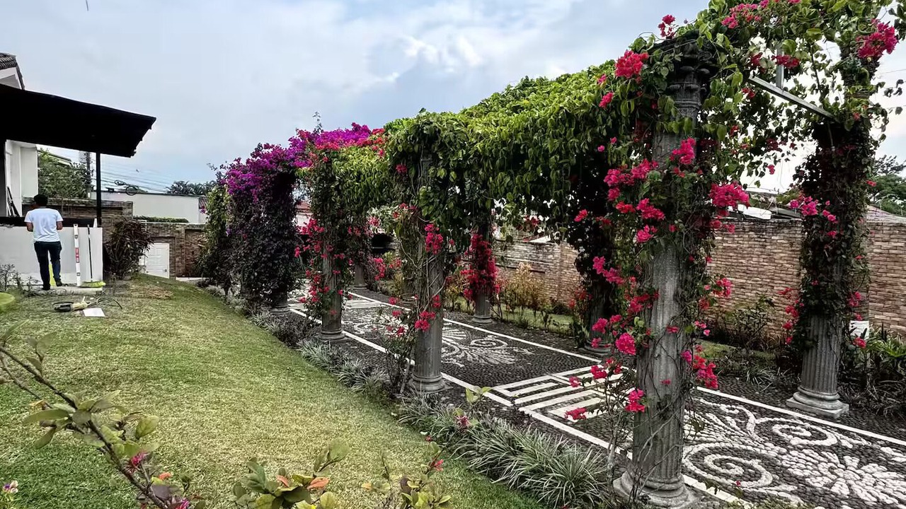 Photo of Outdoor in Ciudad Cariari
