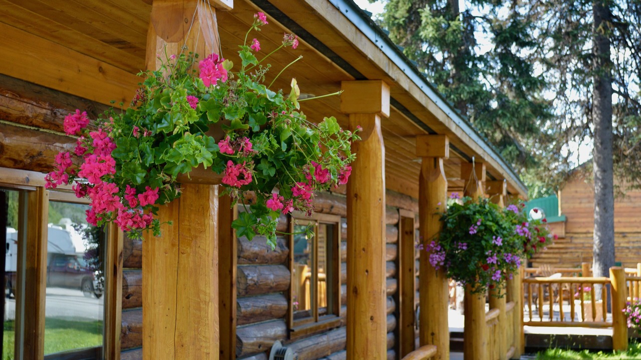 Photo of Outdoor in Moose Pass