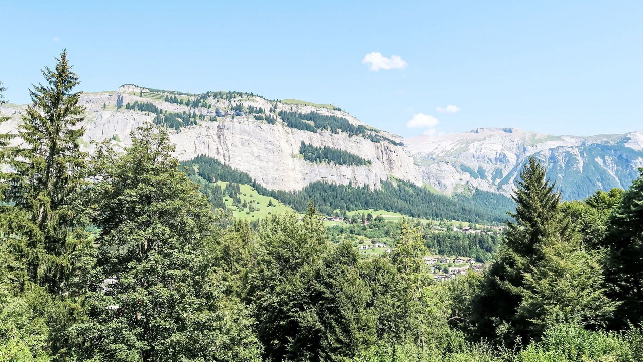 Photo of Others in Flims
