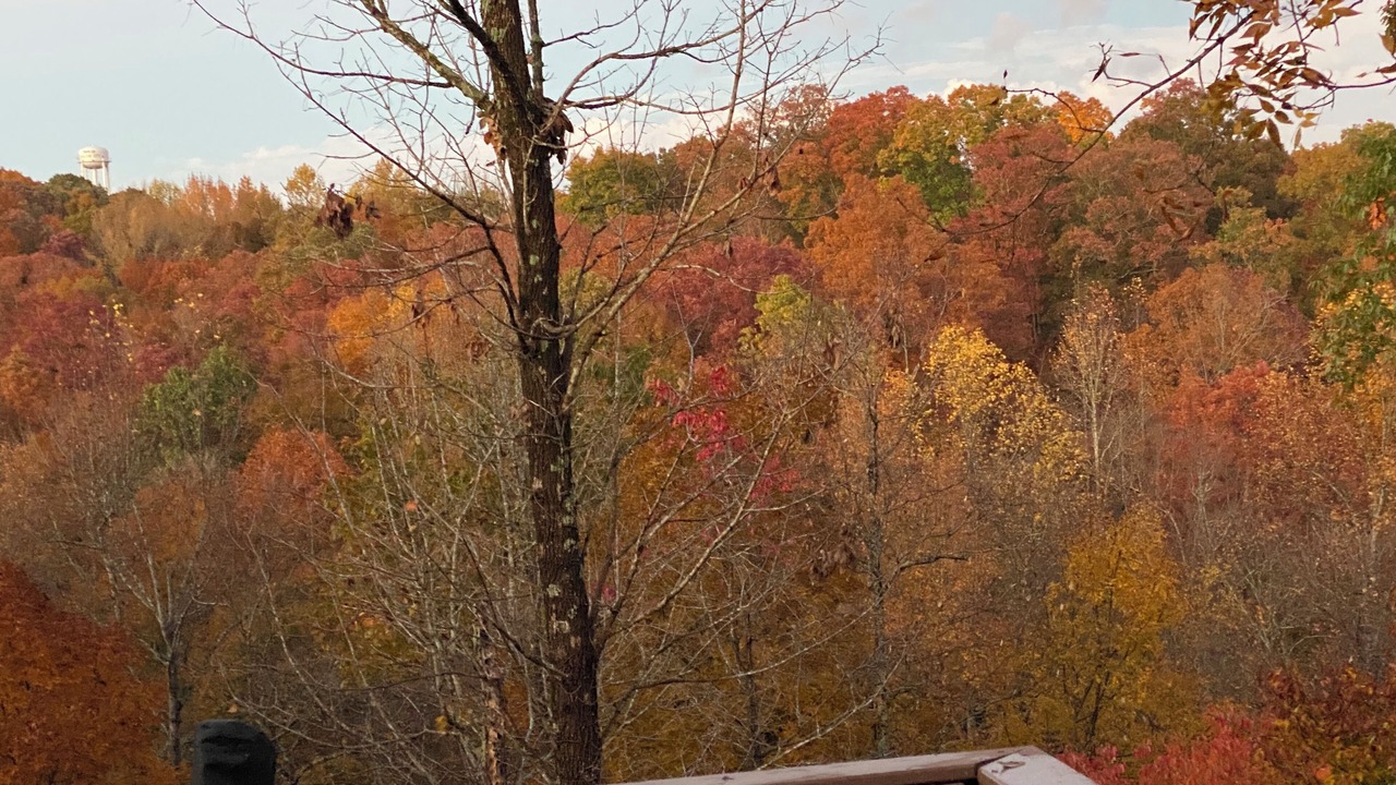 Photo of Outdoor in Ashland City