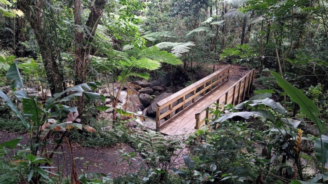 Photo of Outdoor in Mata de Platano