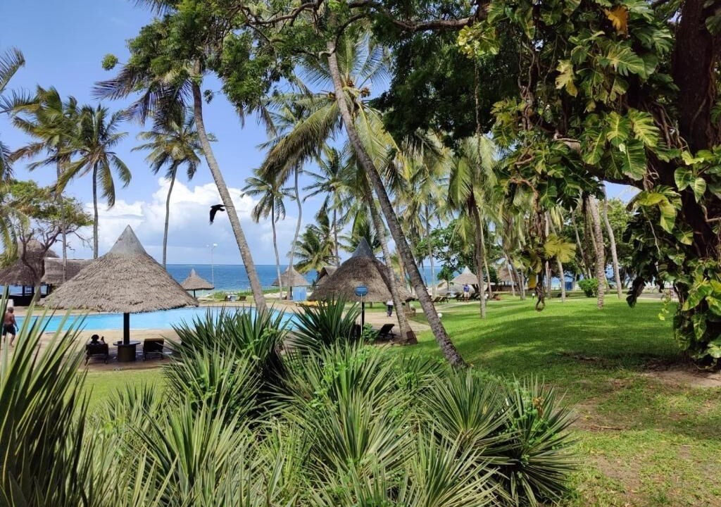 Photo of Outdoor in Nyali