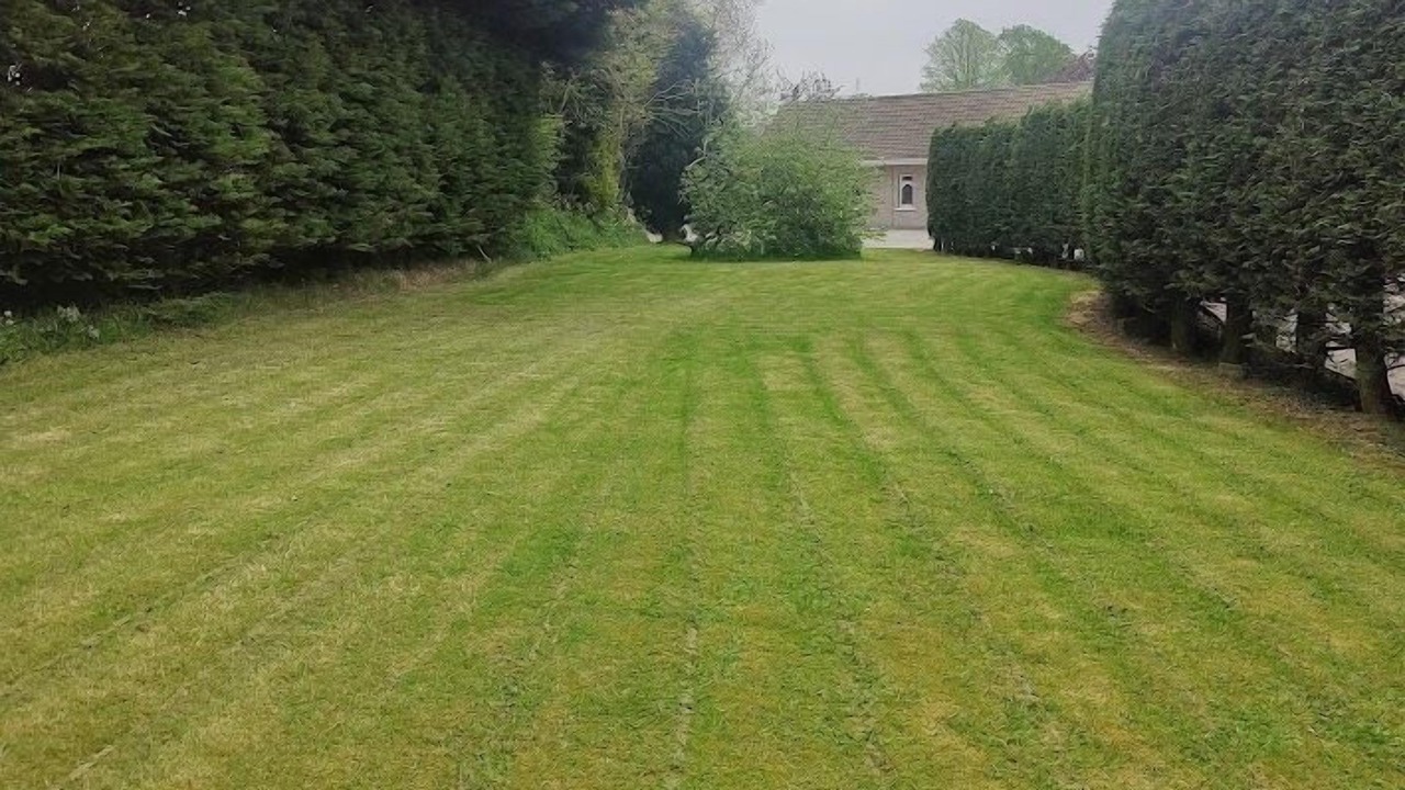 Photo of Outdoor in Cut Bush