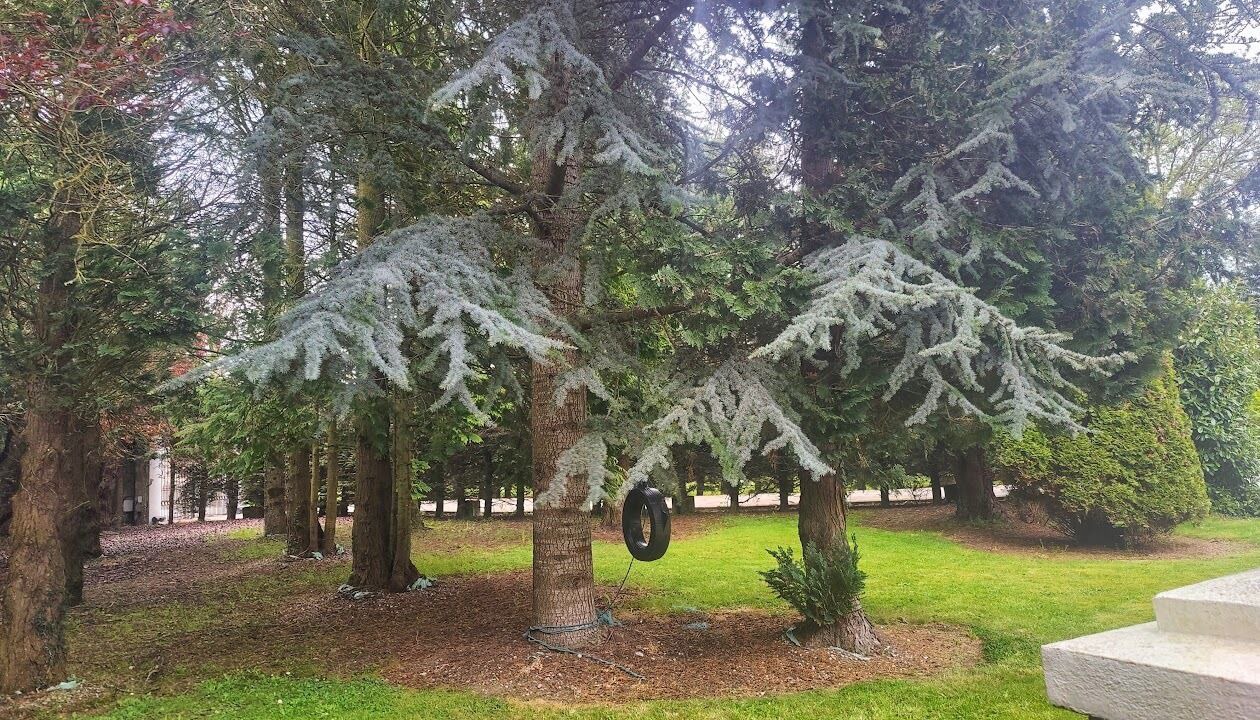 Photo of Outdoor in Cut Bush